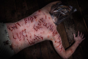 2015 Serial Killers Sins
