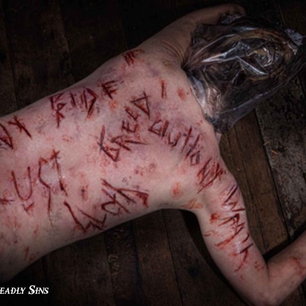 2015 7 Deadly Sins