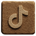 TikTok Icon